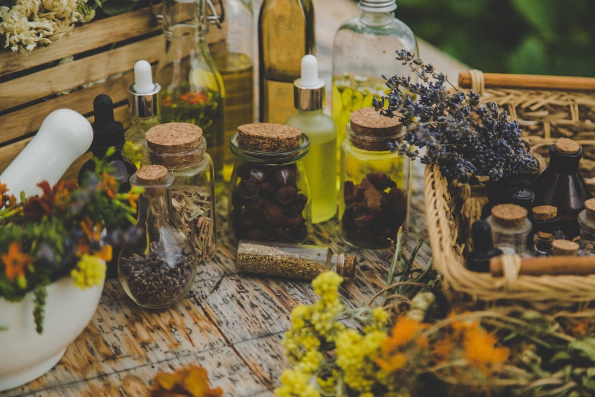 Building a Home Herbal Apothecary: 10 Essential Herbs to Start With